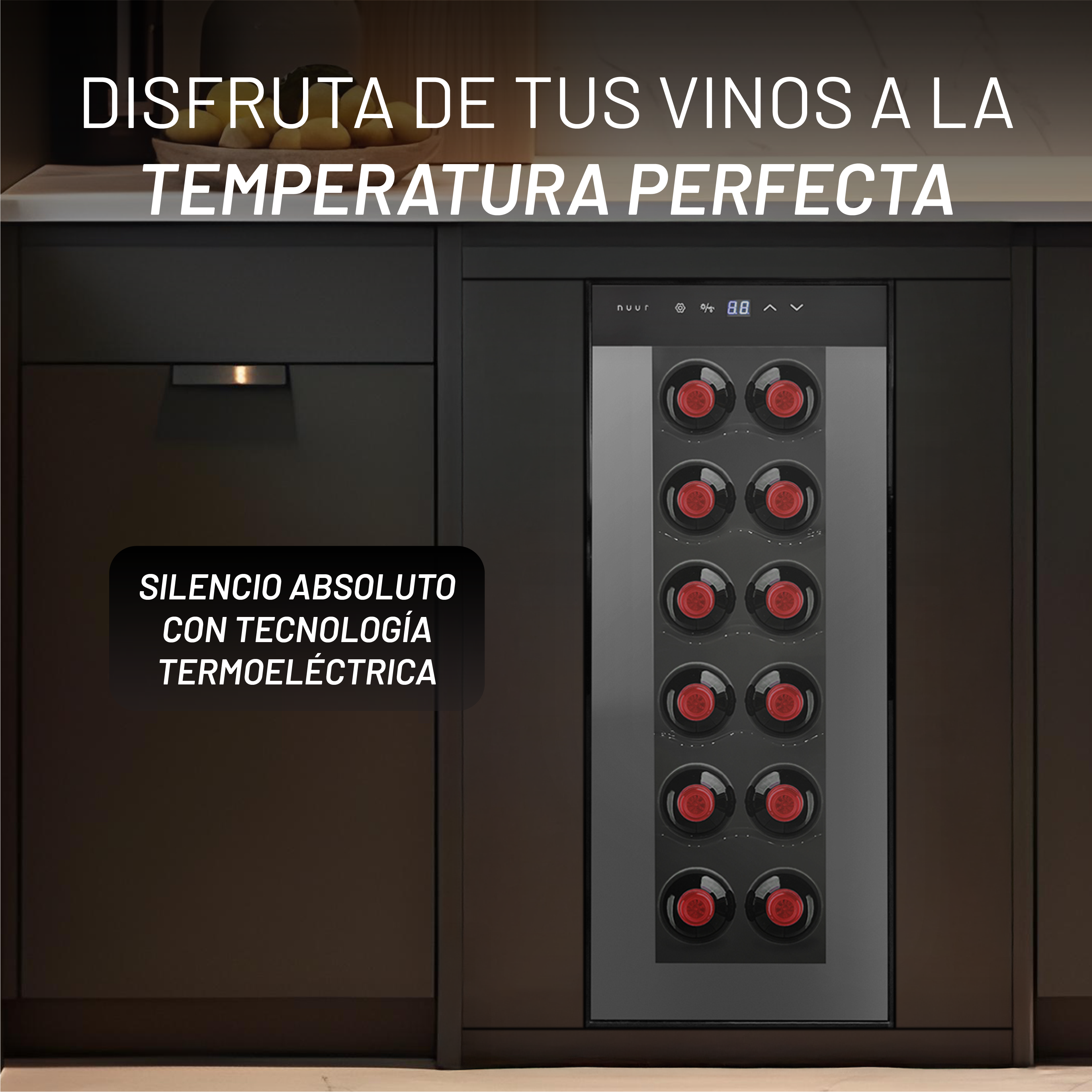 CAVA12 imagen 2