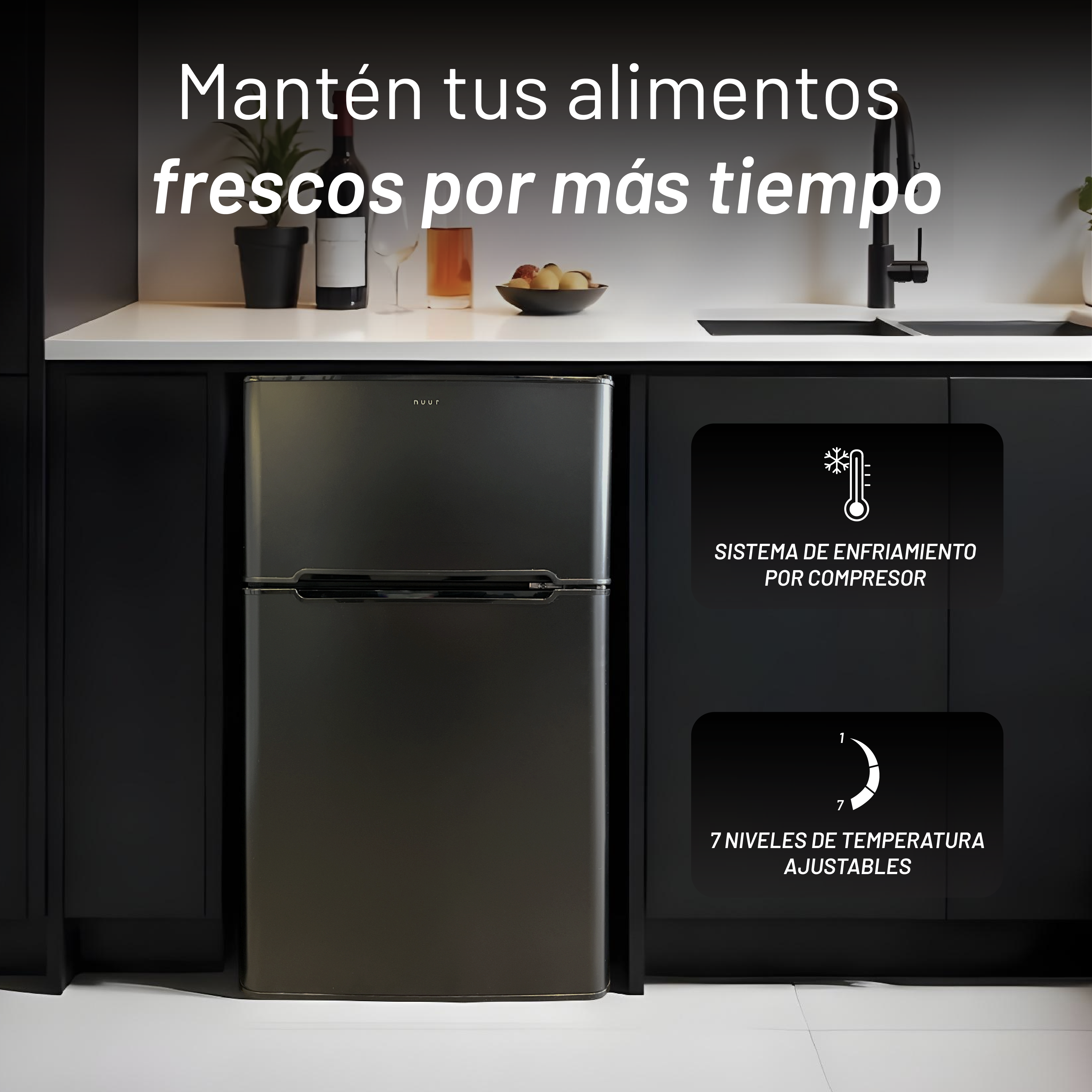 FRIGO90L2P imagen 2