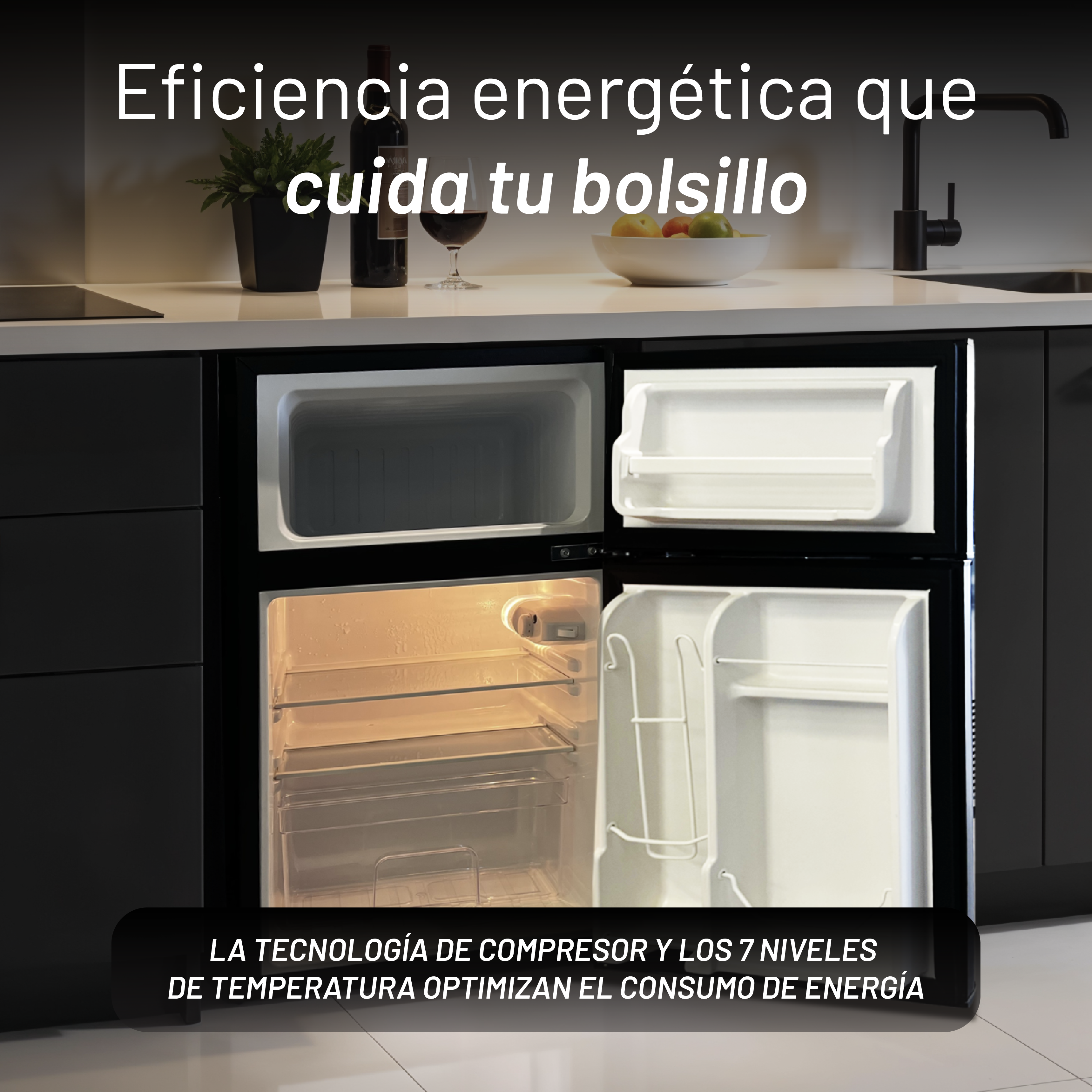 FRIGO90L2P imagen 5