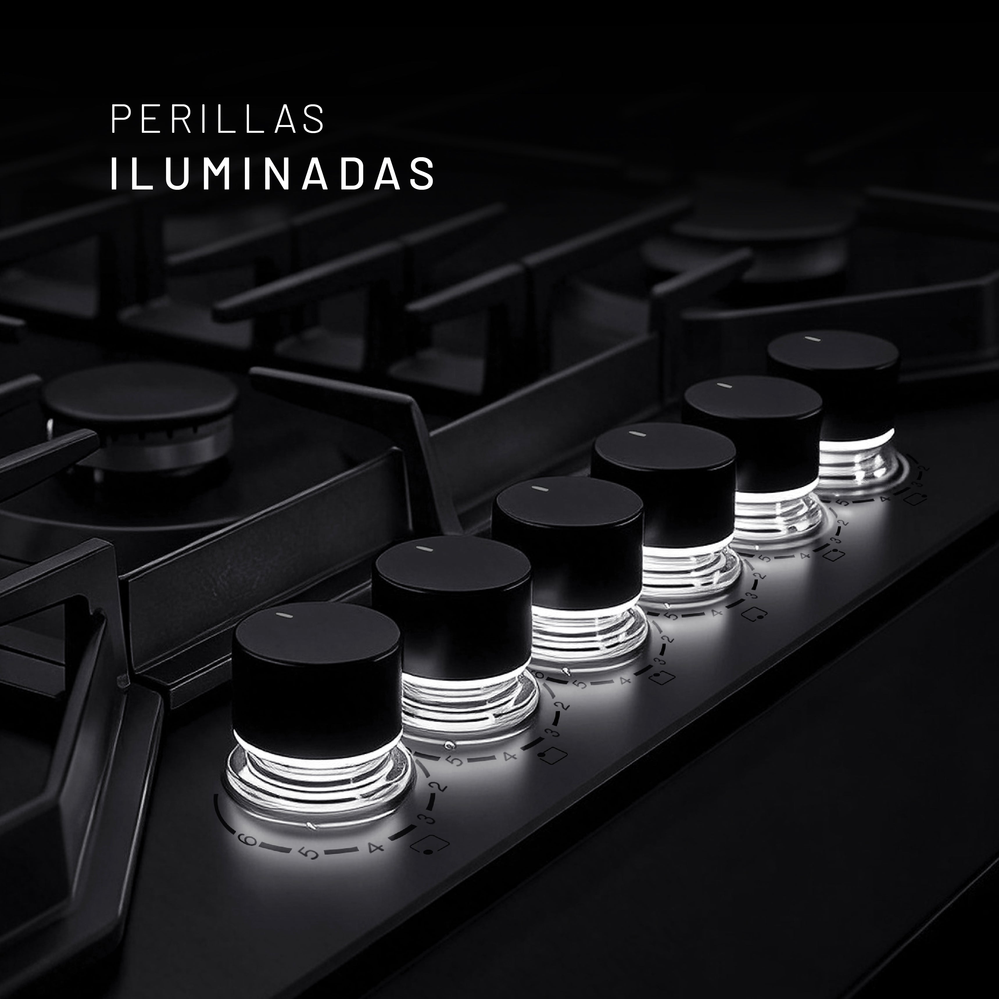 PARGA6VTM-L 02
