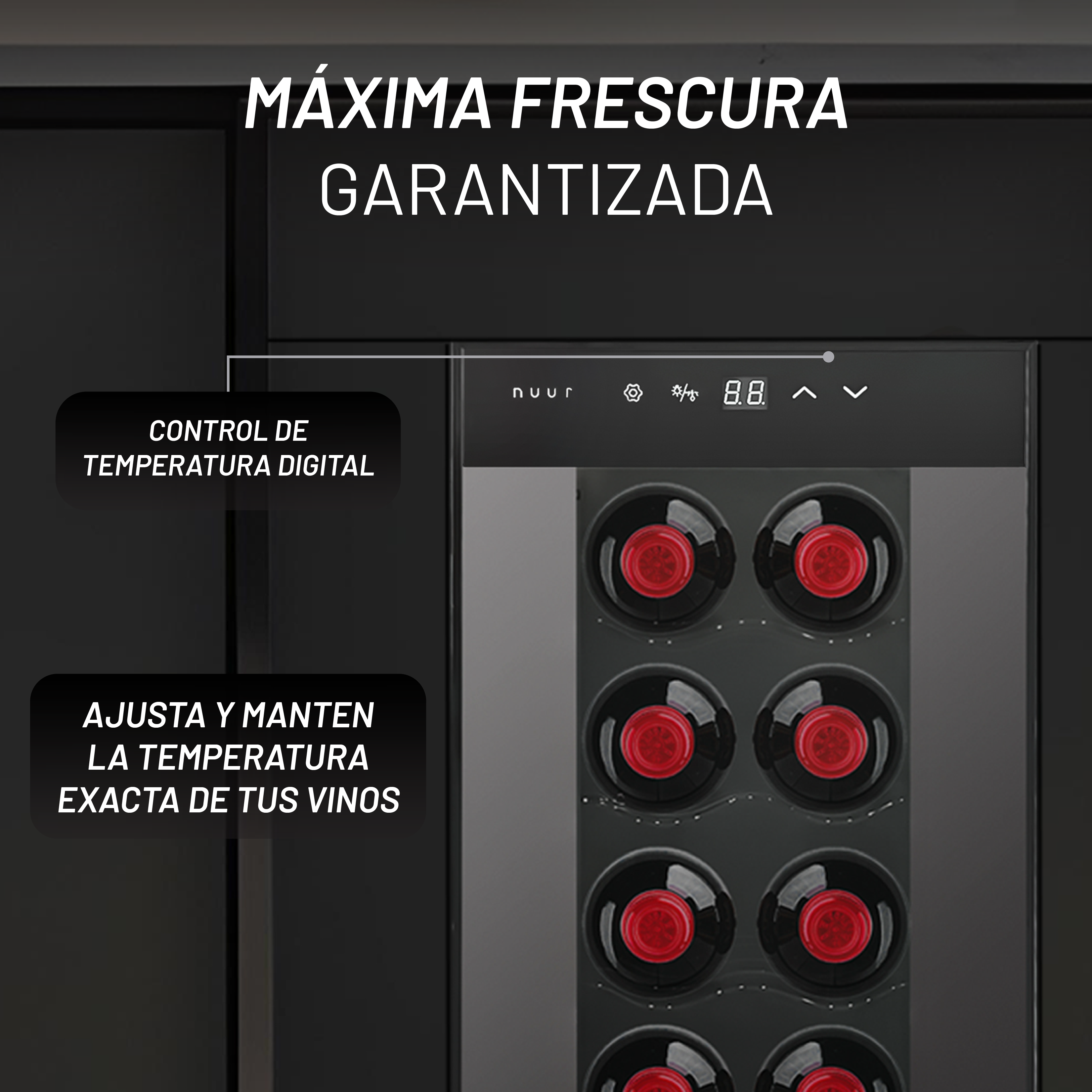 CAVA8 imagen 4
