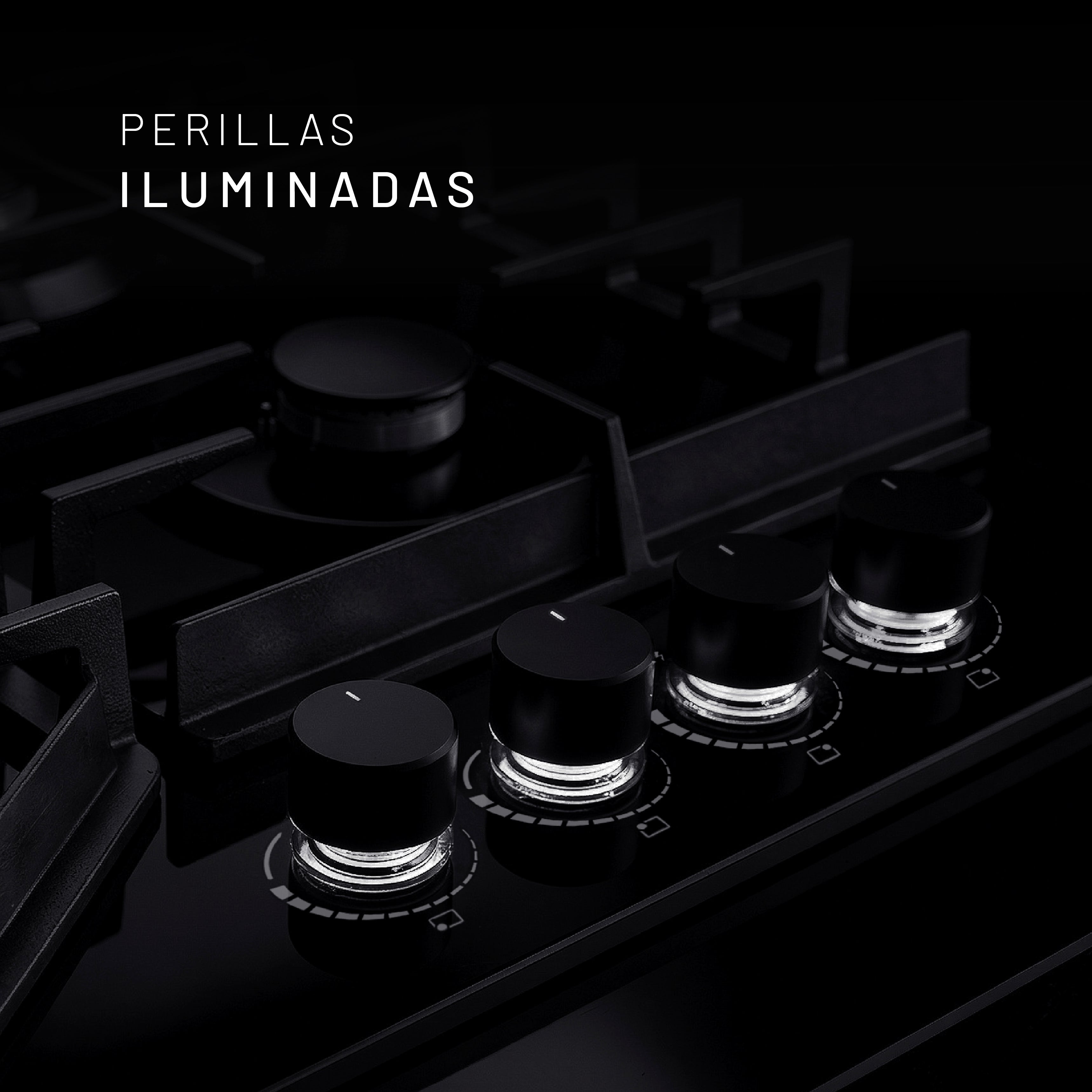PARGA4VT-L 02