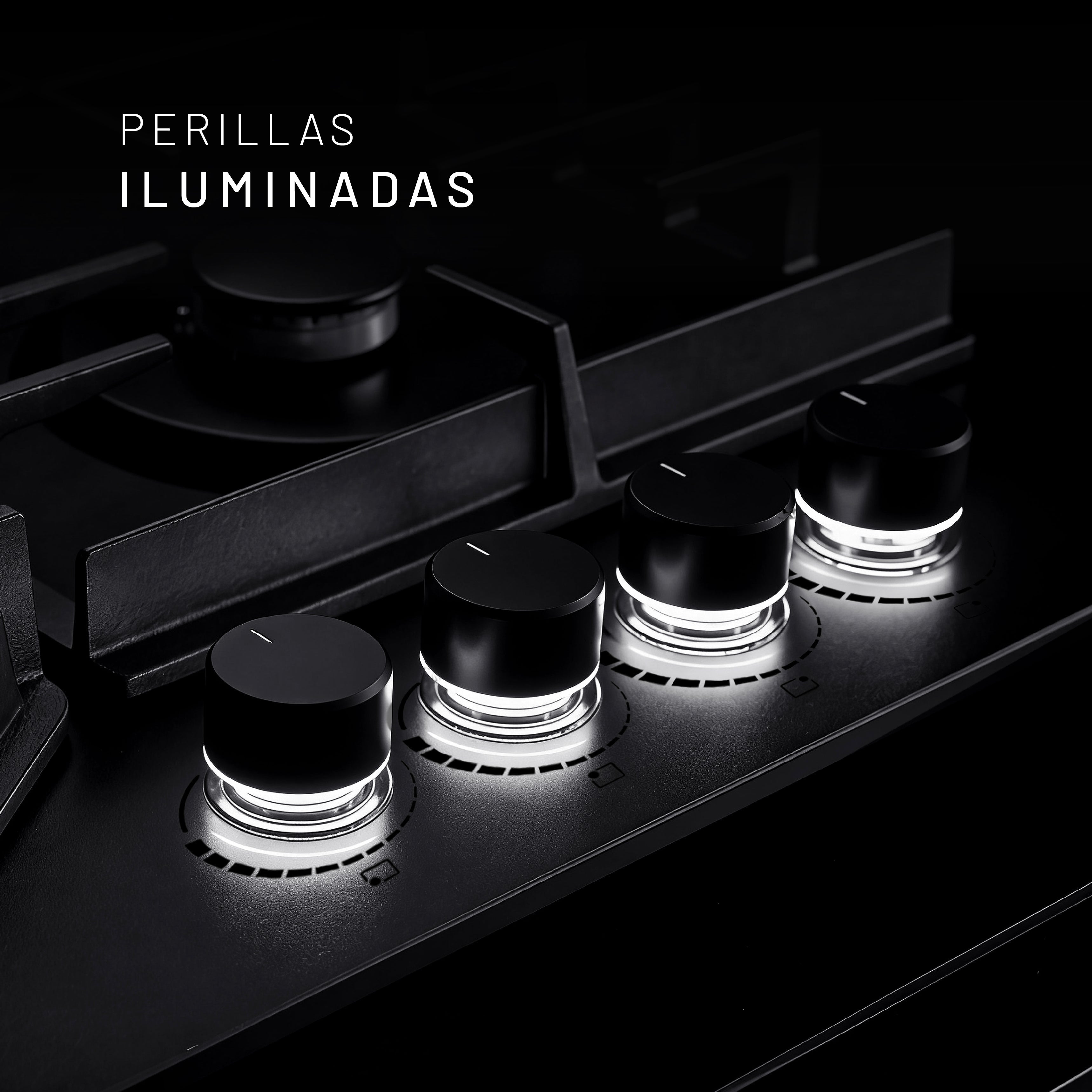 PARGA4VTM-L 02