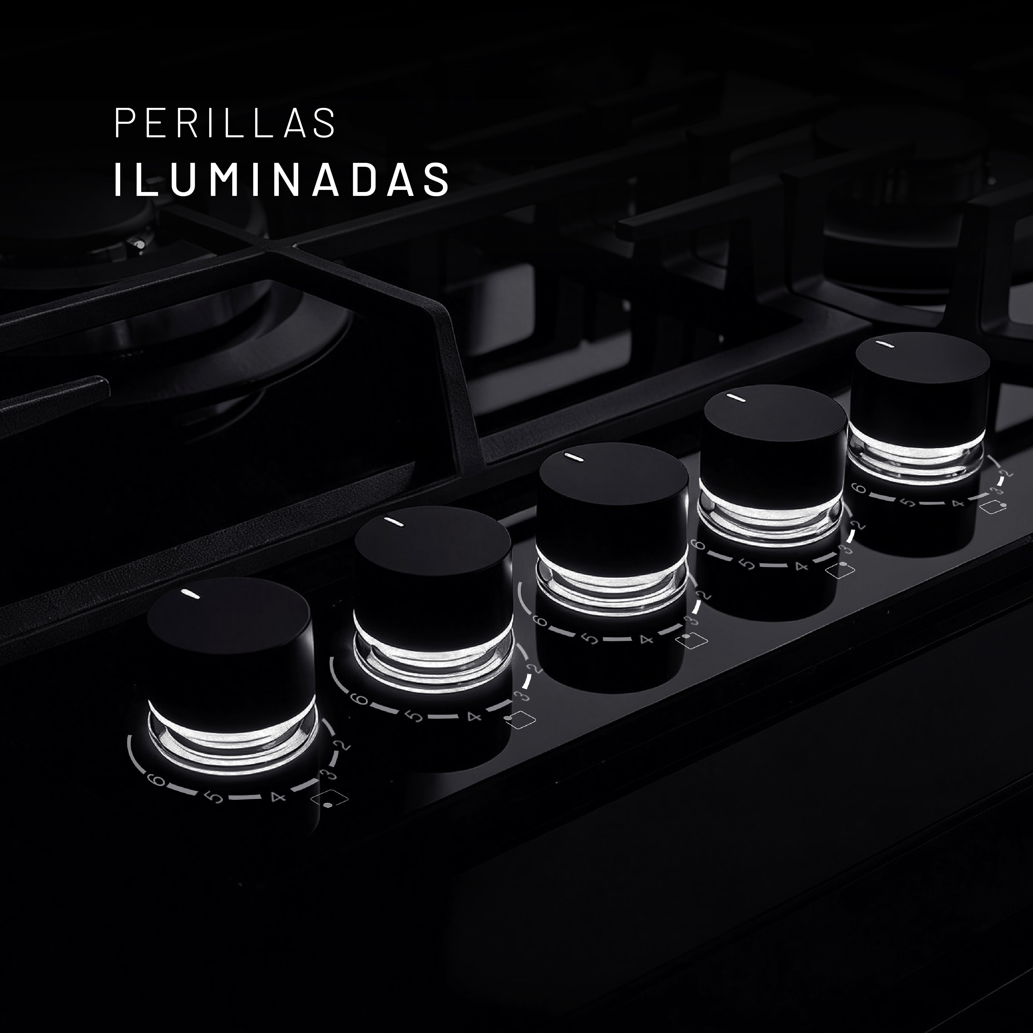 PARGA5VT-L 02